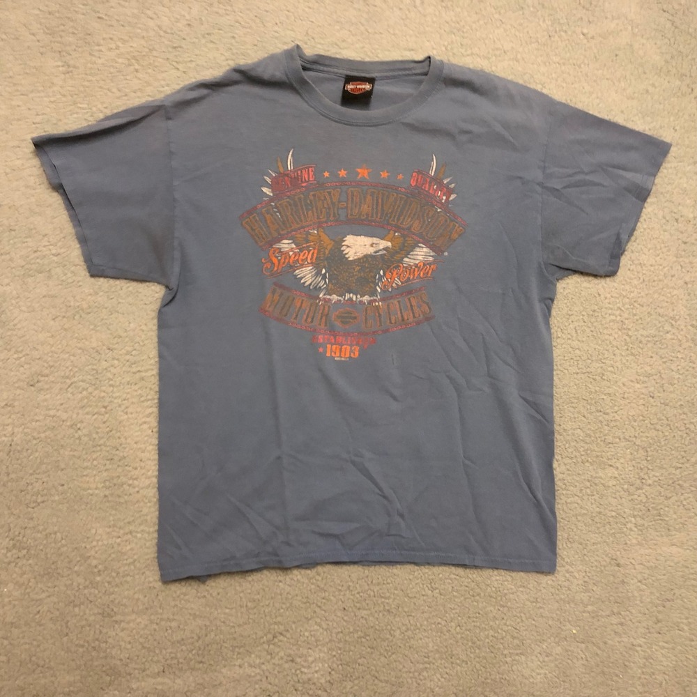 Harley-Davidson T-Shirt Mens XL Blue Eagle Faded‎ Distressed Biker Grunge